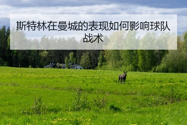 斯特林在曼城的表现如何影响球队战术